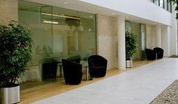 Modern office project
